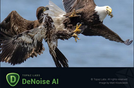 Topaz DeNoise AI v3 AI智能图像降噪软件/ps插件