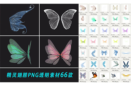 png素材-66款童话透明蝴蝶翅膀摄影后期免扣素材