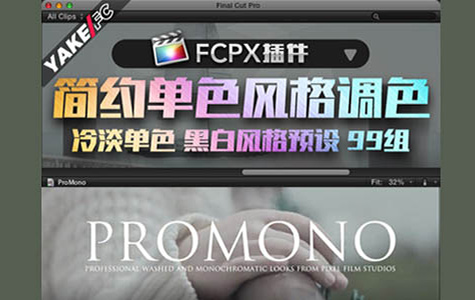 FCPX插件-ProMono 小清新风格调色插件