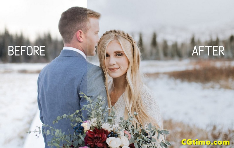 冬季婚礼人像跟拍风景拍摄胶片app/LR预设 调色预设 第3张