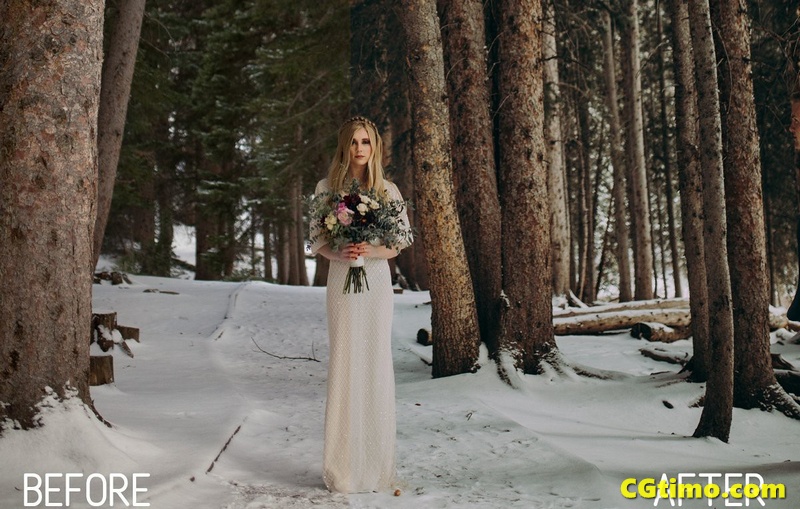 冬季婚礼人像跟拍风景拍摄胶片app/LR预设 调色预设 第4张