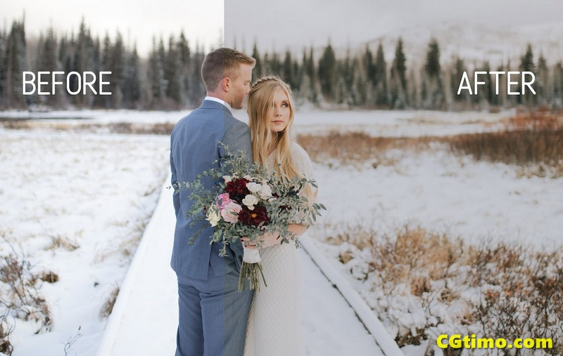 冬季婚礼人像跟拍风景拍摄胶片app/LR预设 调色预设 第5张