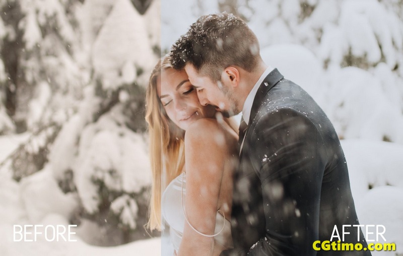 冬季婚礼人像跟拍风景拍摄胶片app/LR预设 调色预设 第6张