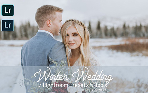 冬季婚礼人像跟拍风景拍摄胶片app/LR预设