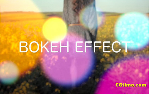 FCPX插件-Bokeh Effect 视频梦幻光斑散景特效插件下载