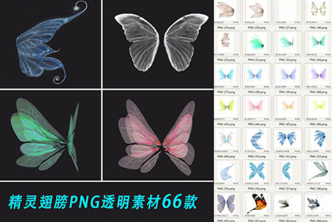 png素材-童话透明蝴蝶翅膀摄影后期免扣素材