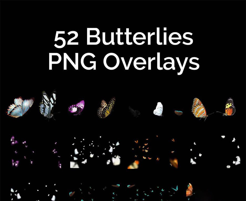 PNG素材-52款漂亮蝴蝶照片叠加PNG素材+PS动作 PNG素材 第8张