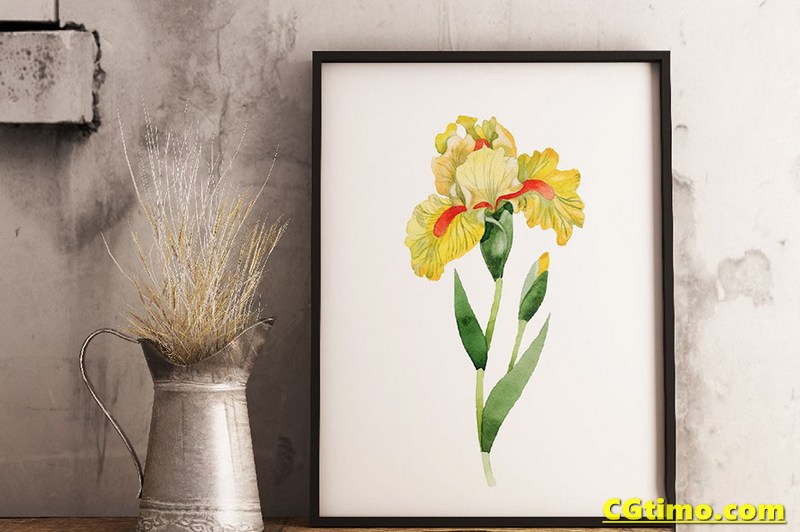 PNG素材-500款花卉动植物水彩插画图形设计元素包 PNG素材 第8张