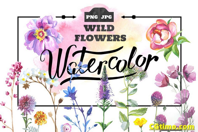 PNG素材-500款花卉动植物水彩插画图形设计元素包 PNG素材 第17张