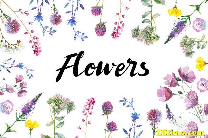 PNG素材-500款花卉动植物水彩插画图形设计元素包 PNG素材 第18张