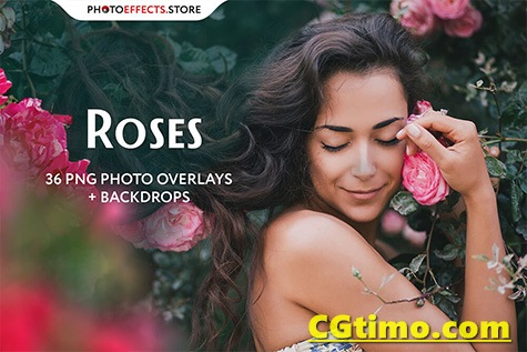 图片素材-36款玫瑰花背景前景叠加png素材合集