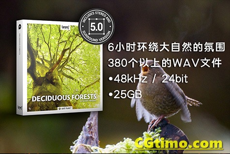 音效-192款大自然雨林森林环境虫鸣鸟叫环绕立体无损音效 Deciduous Forests