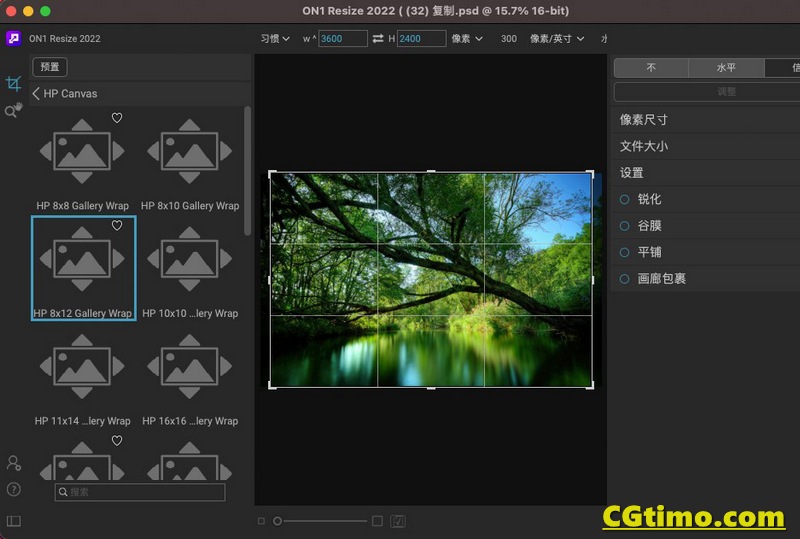 PS插件ON1 Resize AI 2022.1 AI照片无损放大软件 Mac中文版 LR插件 第7张