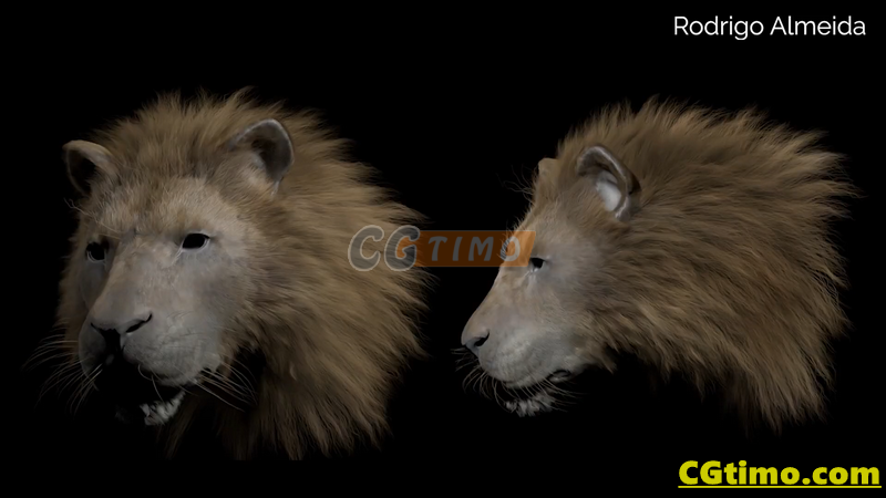 C4D插件-Ornatrix v1  毛发羽毛模拟插件 英文版 C4D相关 第3张