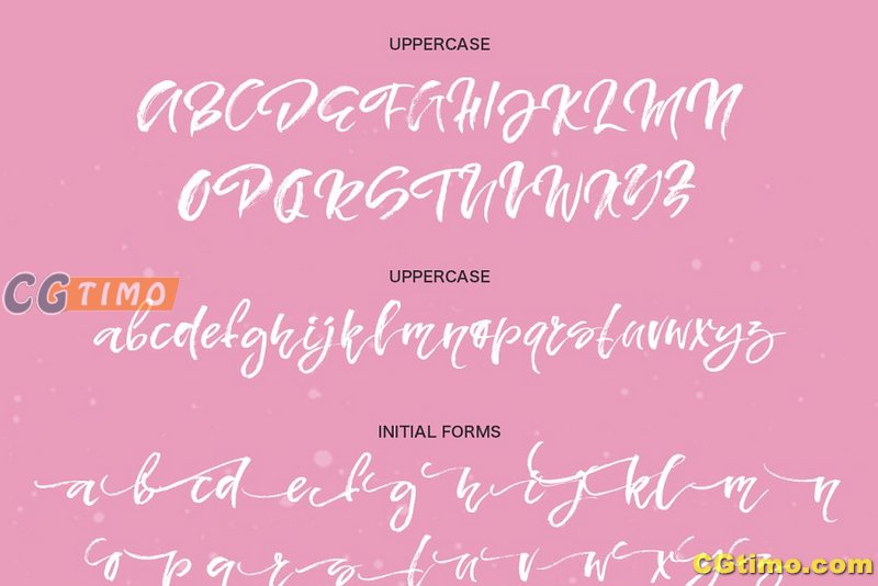 字体-Sydney – dry brush font 毛笔笔刷效果手绘字体下载 字体下载 第8张