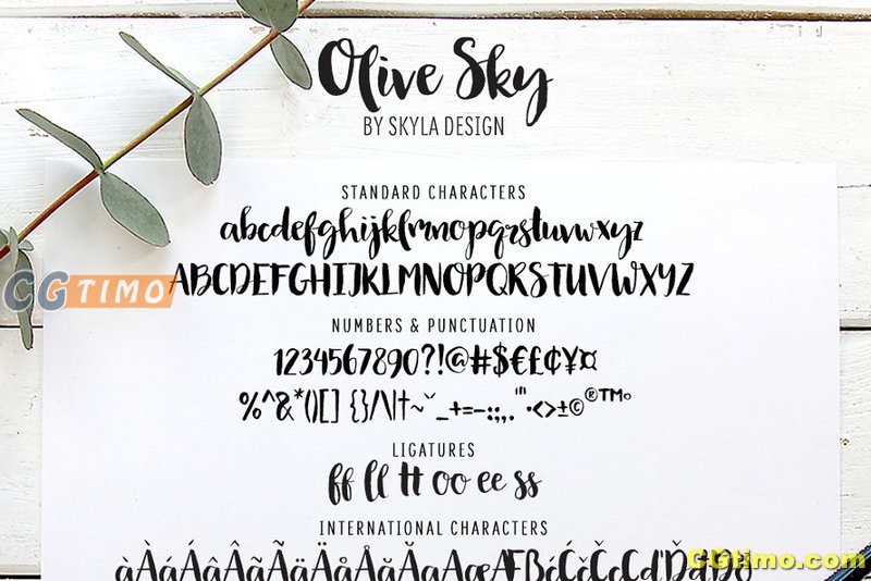 字体-Olive Sky, Modern brush font 现代时尚水墨笔刷手写字体下载 字体下载 第5张