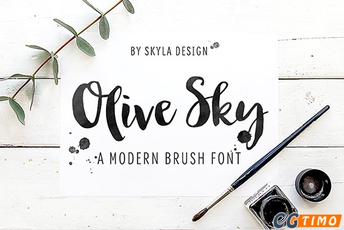 字体-Olive Sky, Modern brush font 现代时尚水墨笔刷手写字体下载