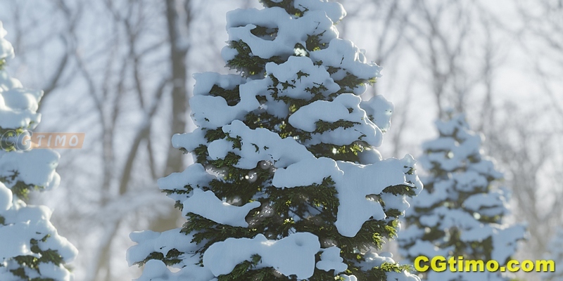 Blender预设-Botaniq Tree And Grass Library V6.8 绿化植物花草树木模型预设 Blender相关 第12张