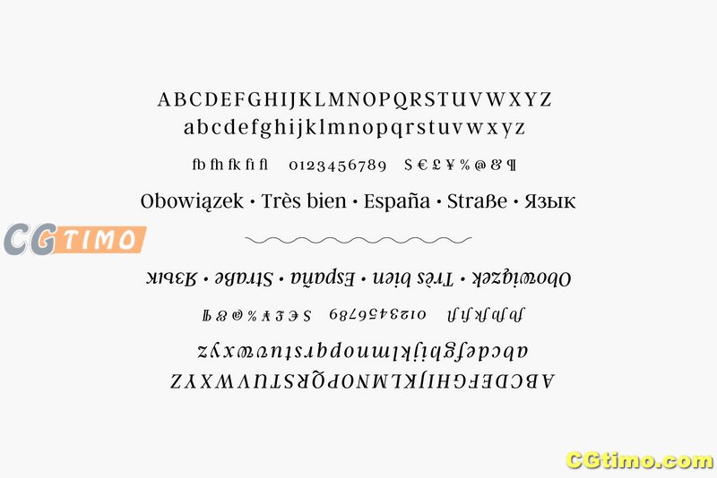 字体-Argent CF: expressive serif font 富有表现力流畅衬线英文字体 字体下载 第9张