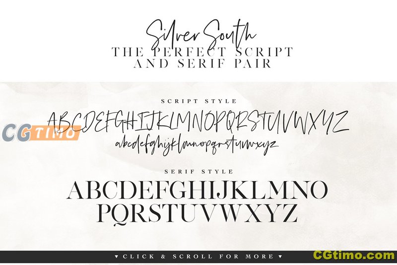 字体-Silver South Font Duo 优雅富有表现力的脚本衬线字体 字体下载 第9张
