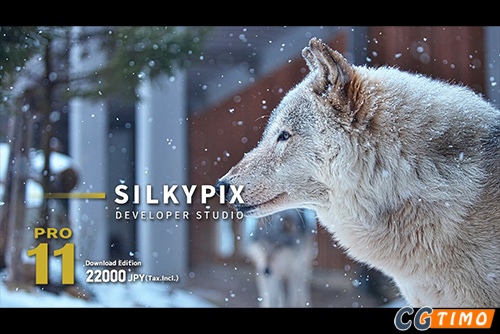 软件-SILKYPIX Developer Studio Pro 11.0.10 中文版 RAW图像处理软件下载