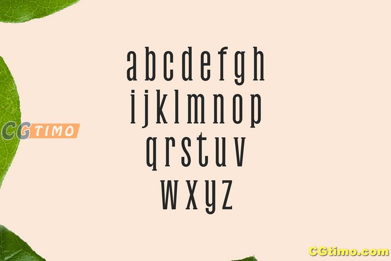 字体-Galvin Slab Serif 5 Font Family Pack 独特的厚衬英文字体下载 字体下载 第2张