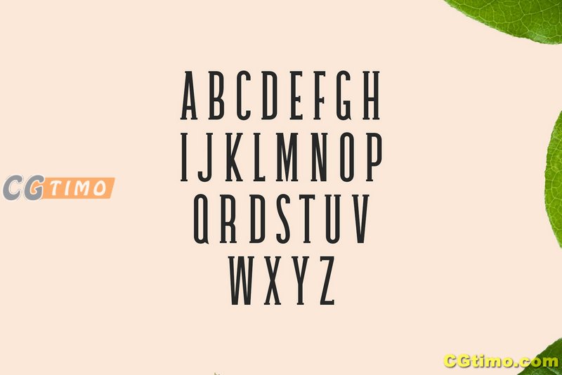 字体-Galvin Slab Serif 5 Font Family Pack 独特的厚衬英文字体下载 字体下载 第5张