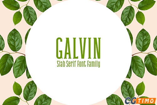 字体-Galvin Slab Serif 5 Font Family Pack 独特的厚衬英文字体下载