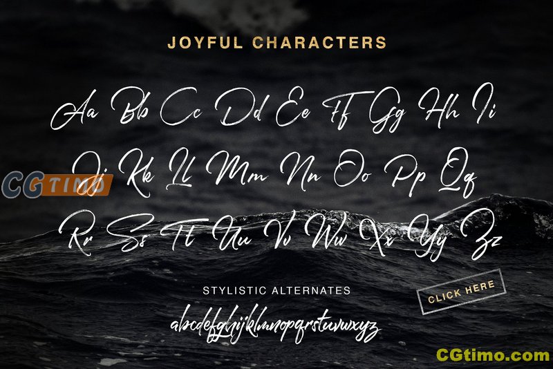 字体-Joyful Script 笔刷质感手写英文字体下载 字体下载 第8张