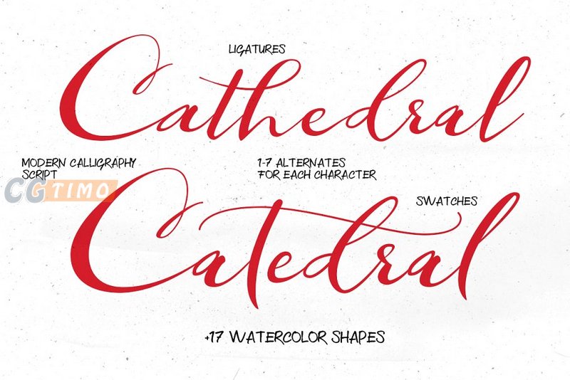 字体-Catedral – Script Font 现代手写书法英文字体下载 字体下载 第3张