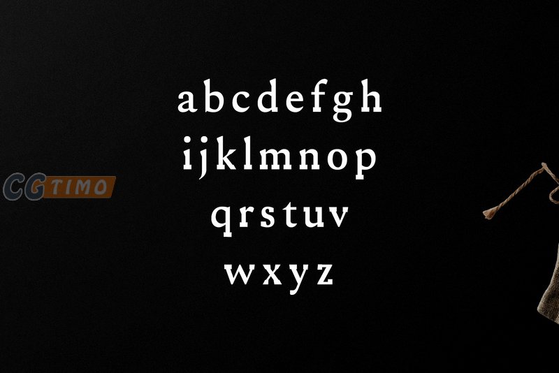 字体-Ireene Serif 3 Font Family Pack 现代高端衬线英文字体下载 字体下载 第3张