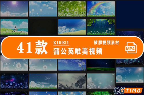 41款蒲公英唯美视频