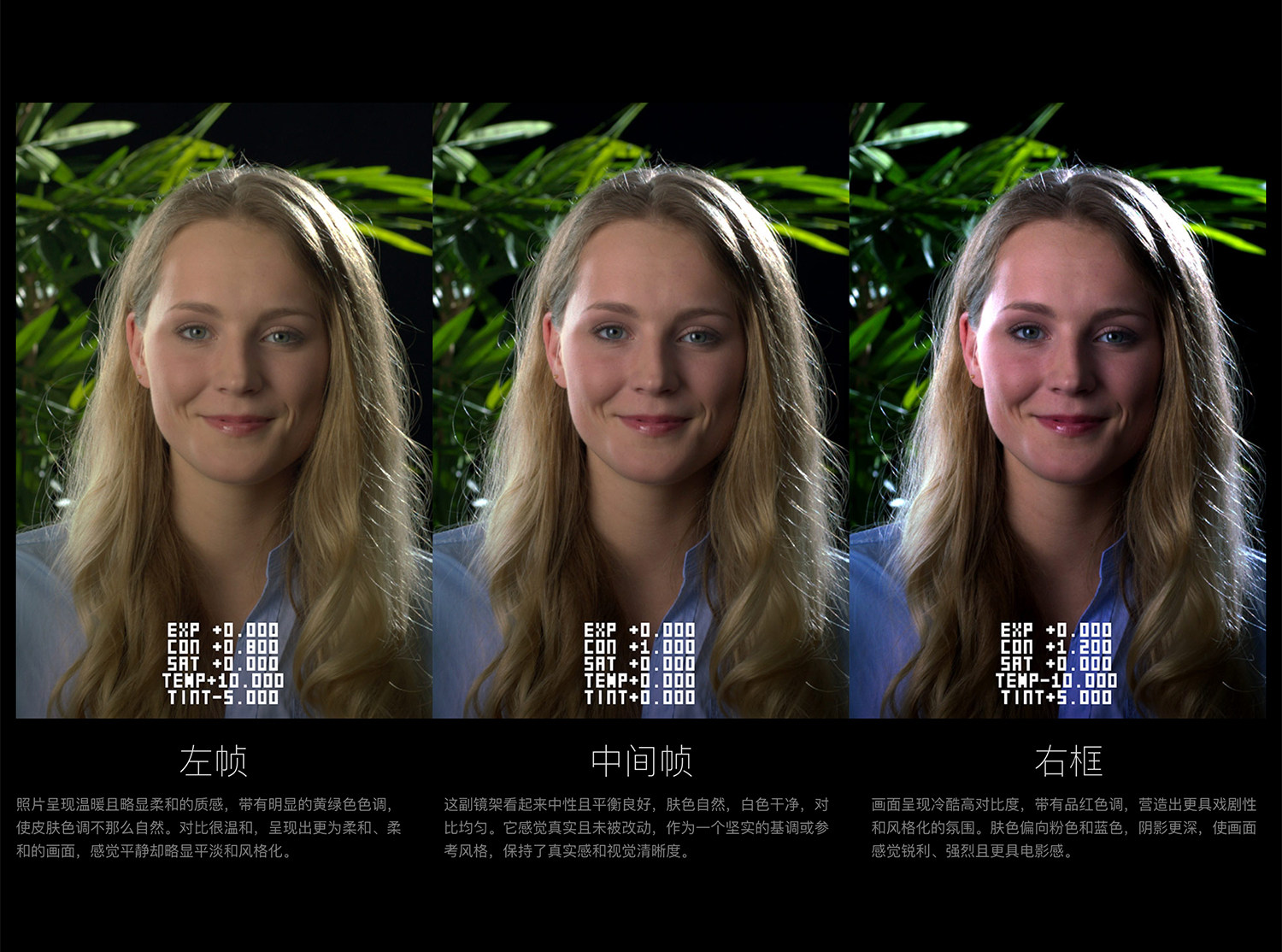 达芬奇预设-单色测试条DCTL节点预设 Mononodes TEST STRIP DCTLS v3.0 插件预设 第7张-CGtimo