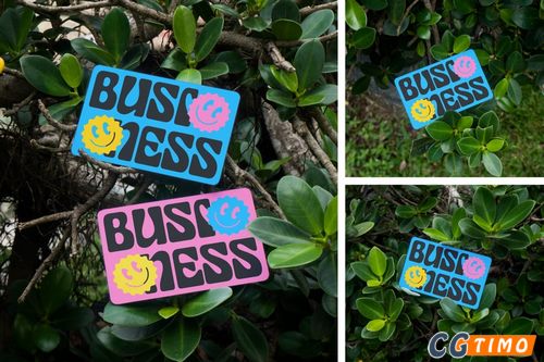 Mockups样机-可定制的商务名片模型